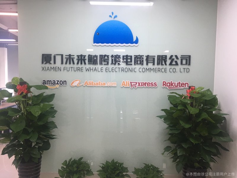 厦门集合鲸商贸